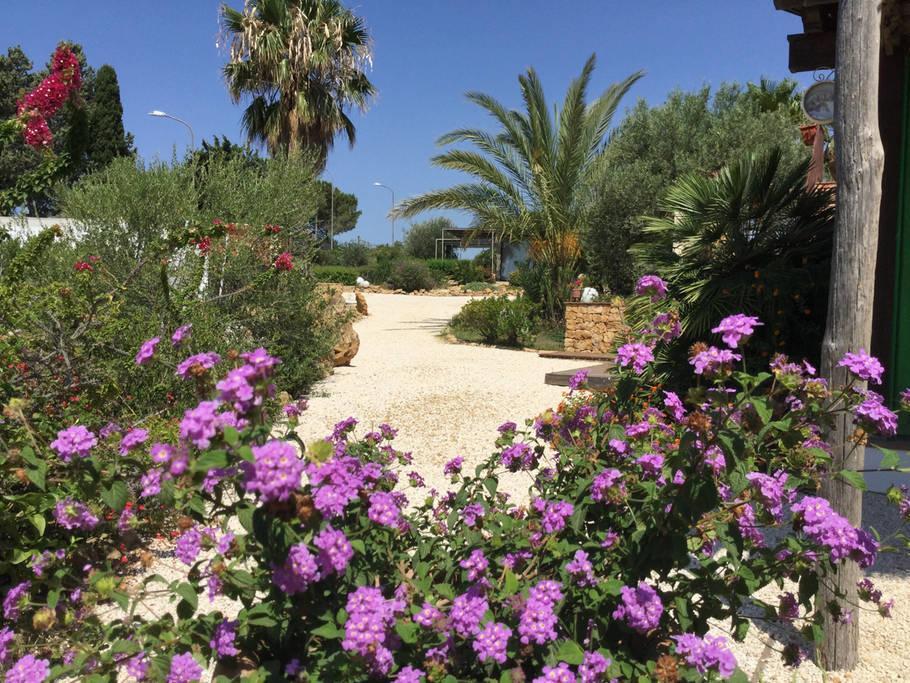 Il Colle Del Rustico Bed & Breakfast Agrigento Eksteriør bilde