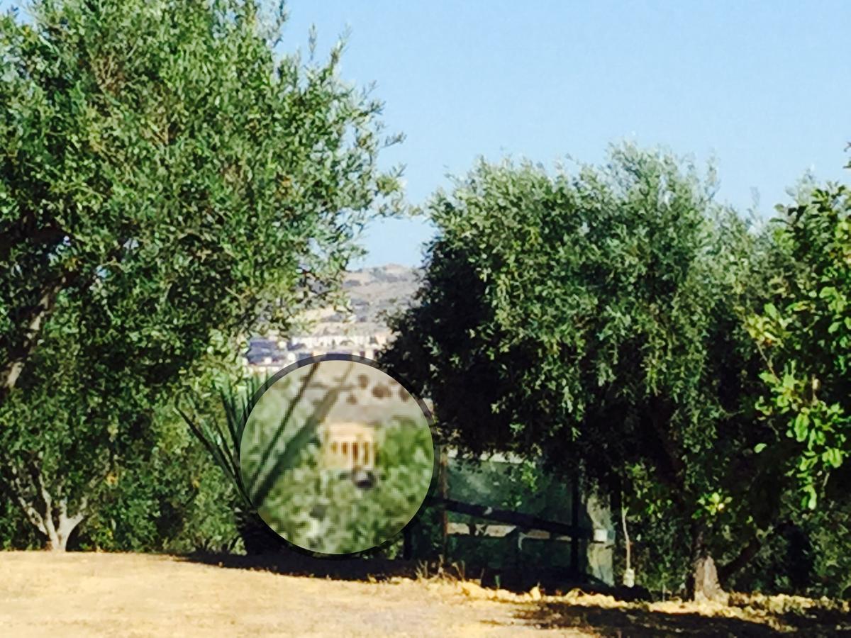 Il Colle Del Rustico Bed & Breakfast Agrigento Eksteriør bilde