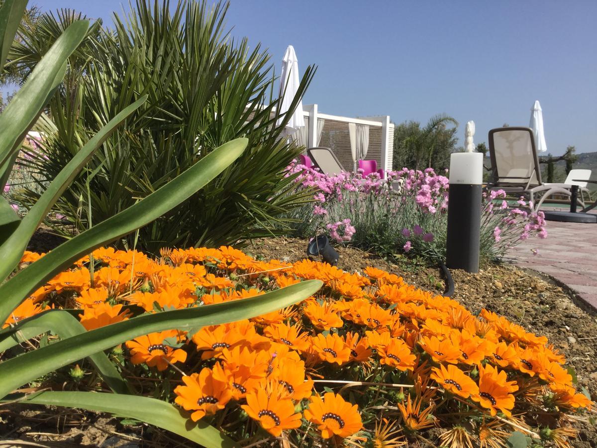 Il Colle Del Rustico Bed & Breakfast Agrigento Eksteriør bilde