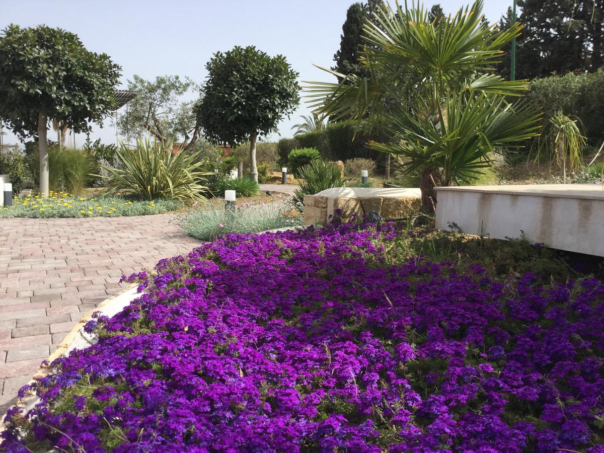 Il Colle Del Rustico Bed & Breakfast Agrigento Eksteriør bilde